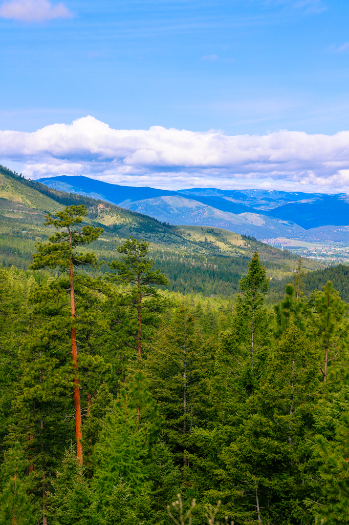 The views along the Sam Braxton and 9.2 Trail