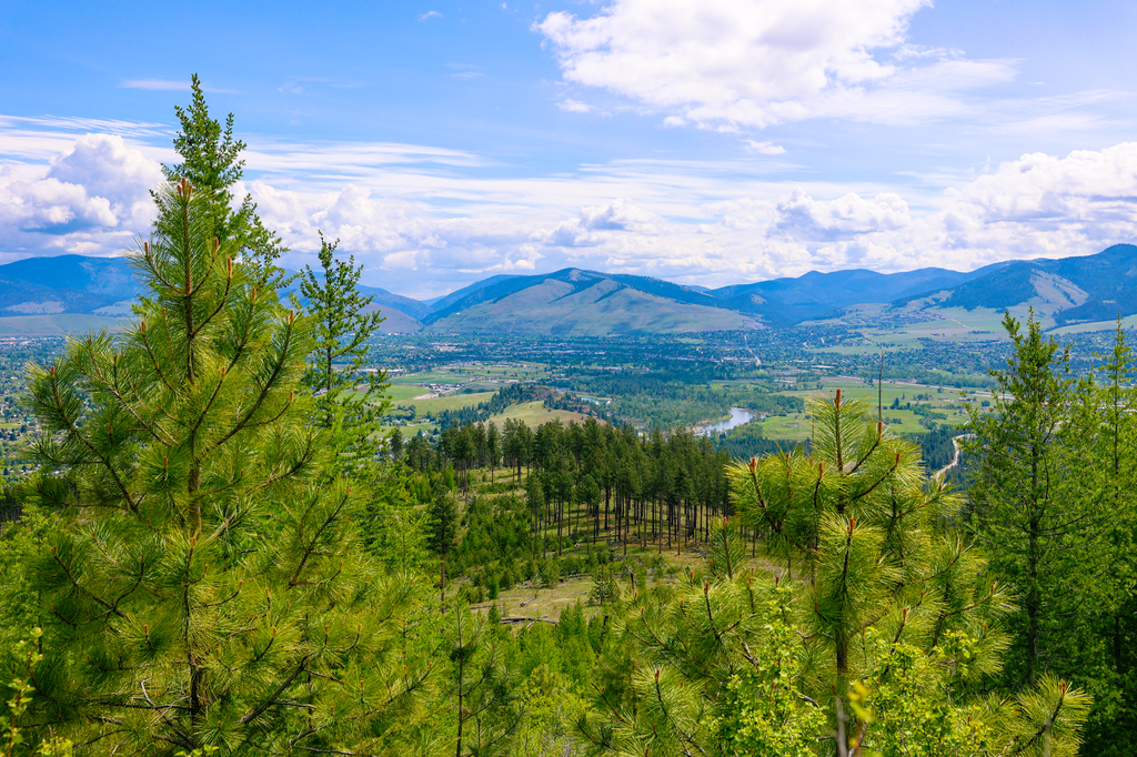 The view from the Blue Mountain Trail in Missoula, Montana