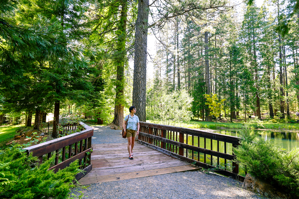 Strolling around Clotilde Merlo Park in Butte County Paradise California