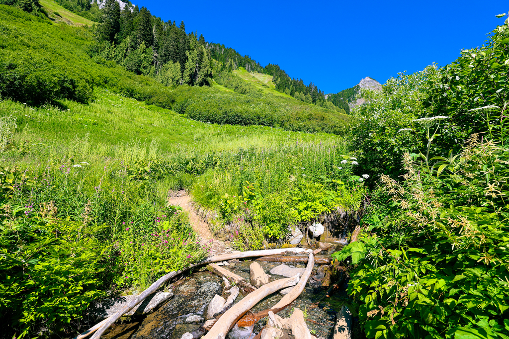 Guide to backpacking Hidden Lake Lookout in North Cascades - Gwyn and Ami