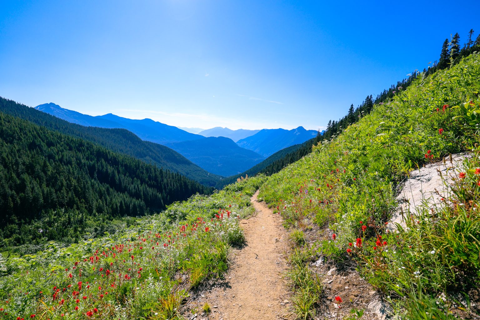 Hiking through the meadow to Hidden Lake Lookout in North Cascades National Park in Washington state