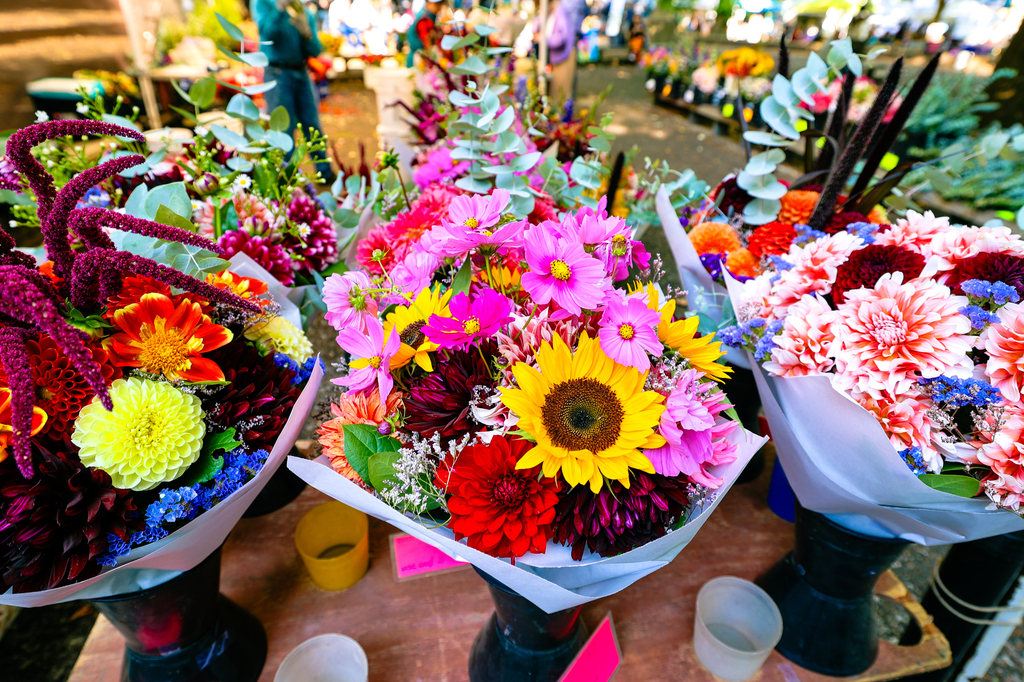 Portland Oregon walking tour PSU farmers market vendor