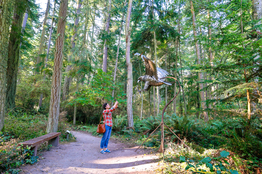 Whidbey Island Coupeville Price Sculpture Forest Free activities on whidbey island