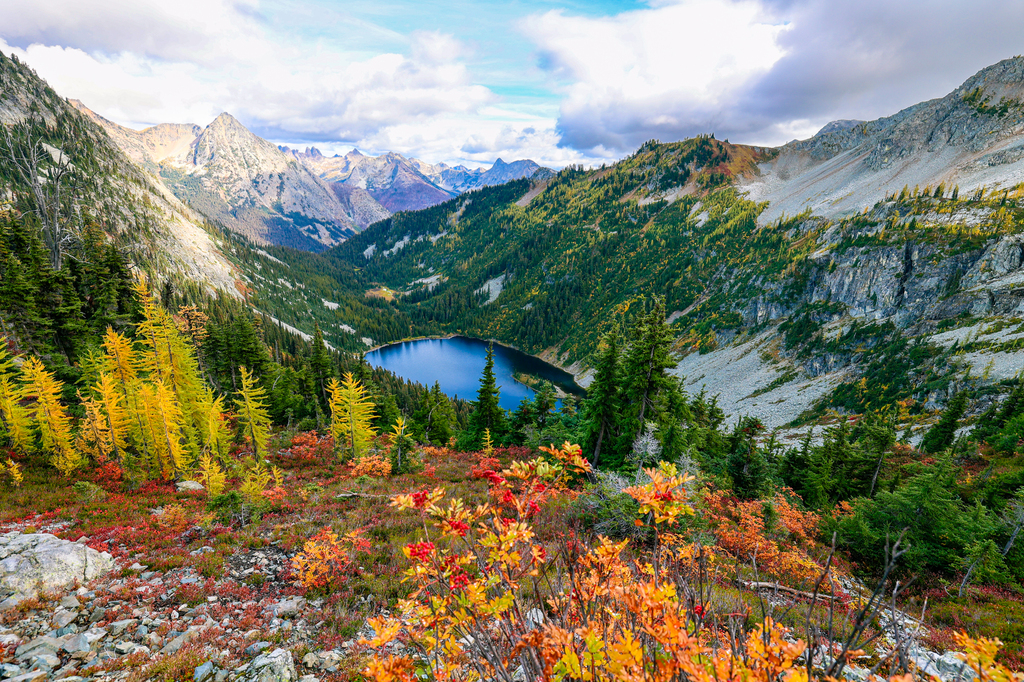 Maple pass loop larches in fall Washington