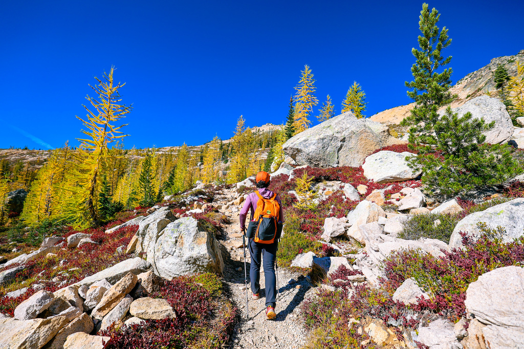 Cutthroat Pass in North Cascades in fall, larches