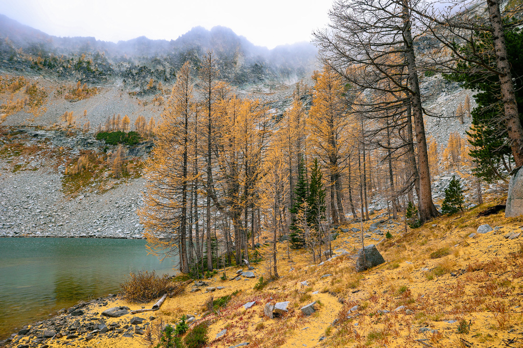 Eagle Lakes hike in Central Washington larches