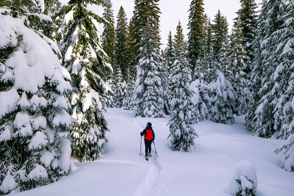 Snowshoe or cross country ski at Horseshoe Prairie Nordic Ski Area Oregon