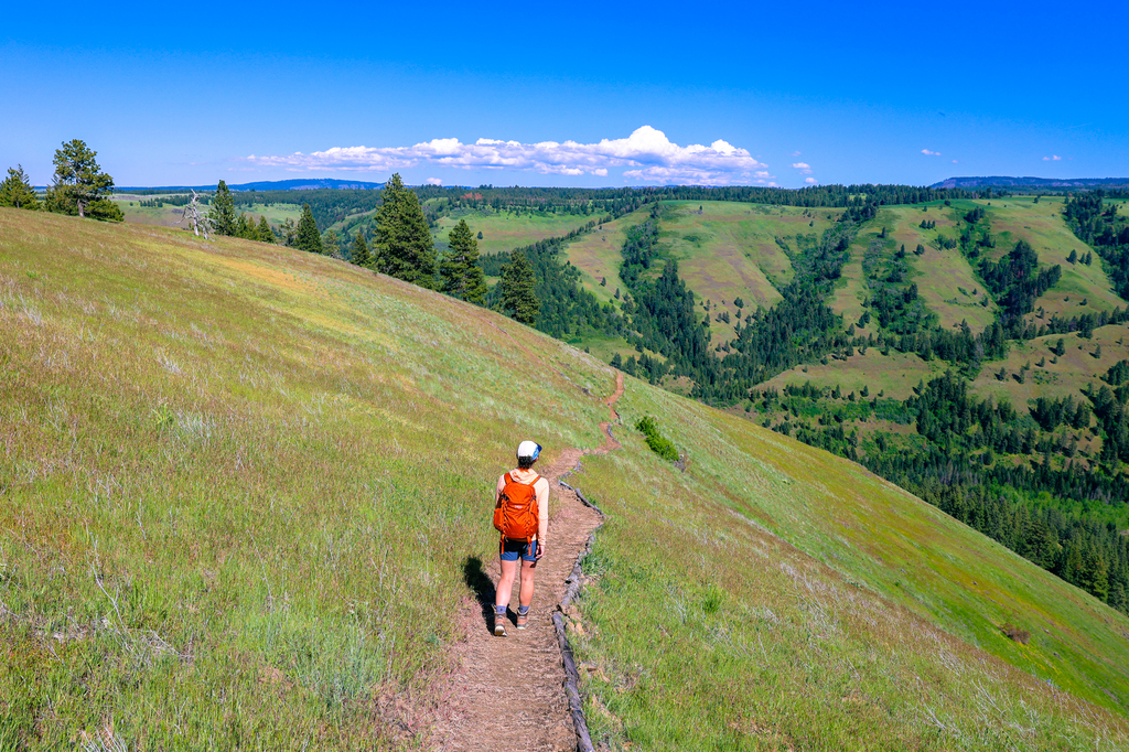 Jasper Mountain Reserve near Walla Walla