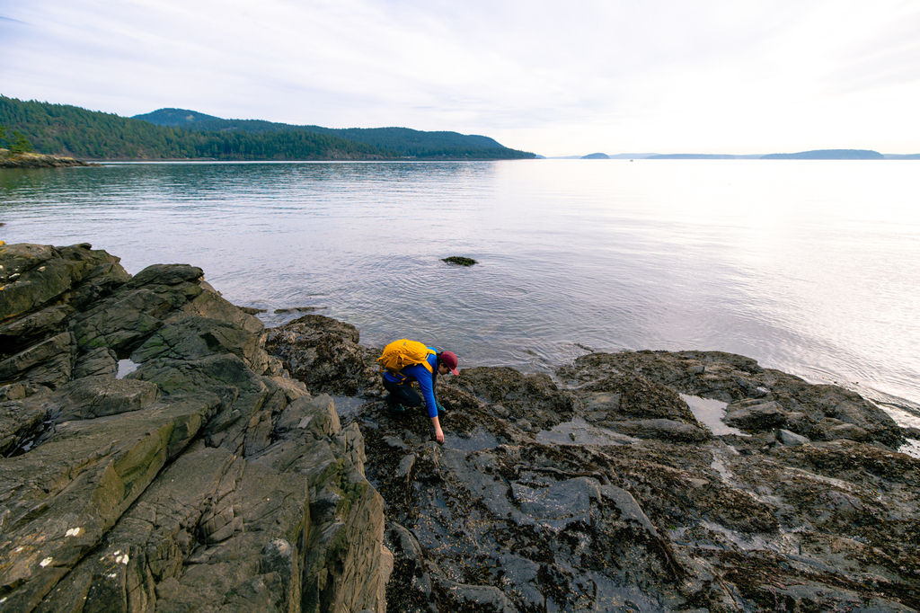Hike, tidepool, and rockhound at Obstruction Pass State Park