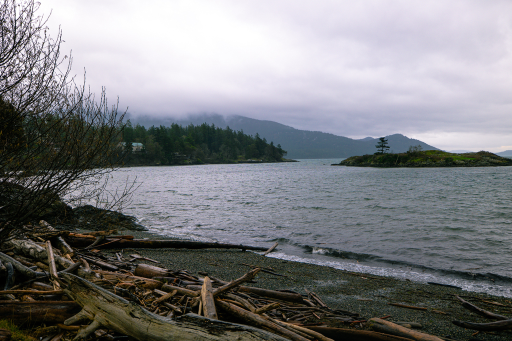 Lunch, coffee, and shopping in Eastsound Orcas Island, San Juan Islands Washington