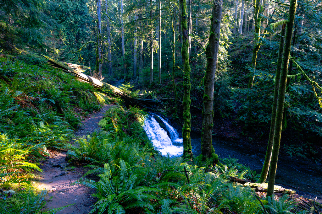 Hike Cascade Falls and Cascade Lake Trail in Moran State Park
