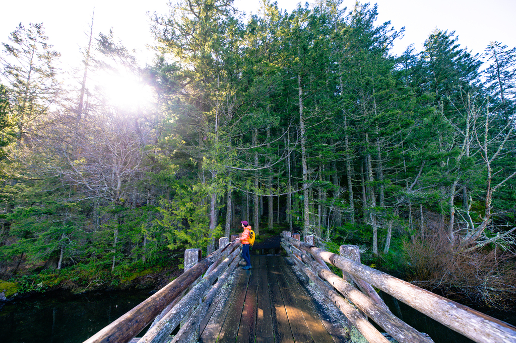Hike Cascade Falls and Cascade Lake Trail in Moran State Park
