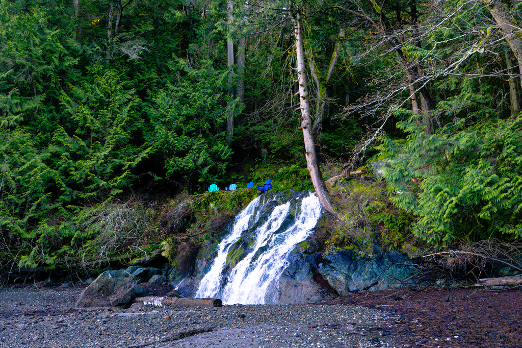 Take a short walk at Judd Cove Preserve Orcas Island