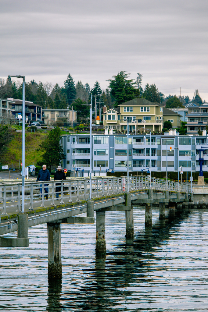 Bird watch at Des Moines Beach and walk the Des Moines Creek Trail