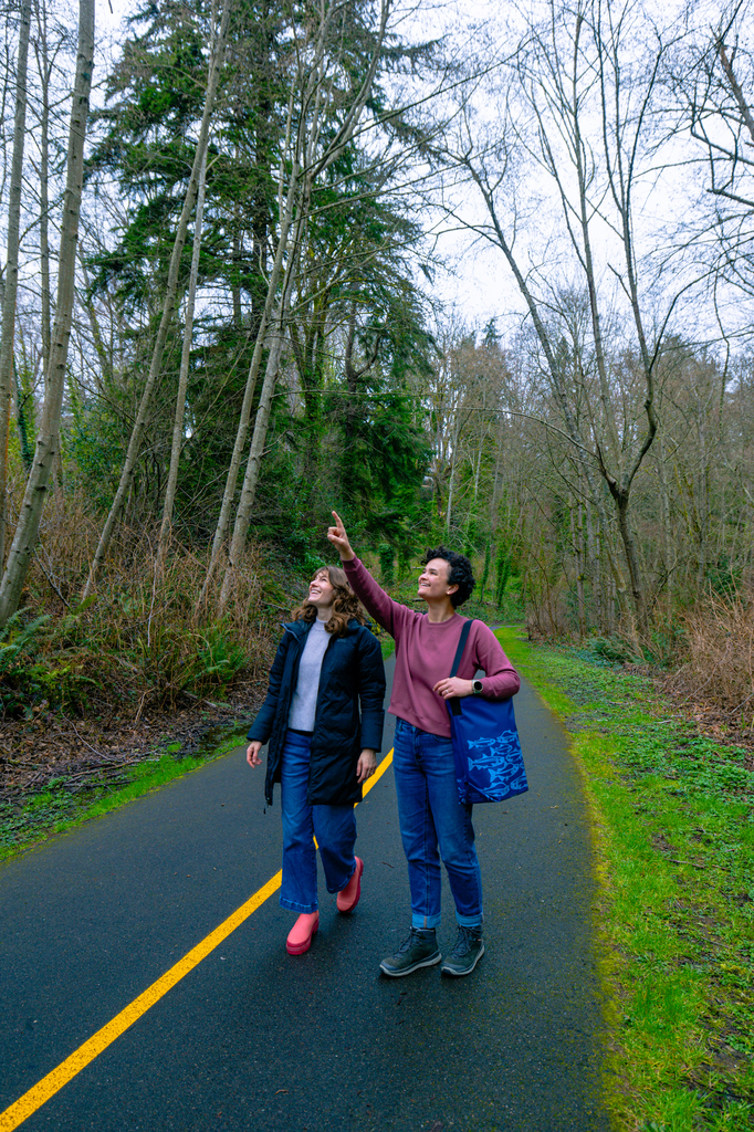 Bird watch at Des Moines Beach and walk the Des Moines Creek Trail