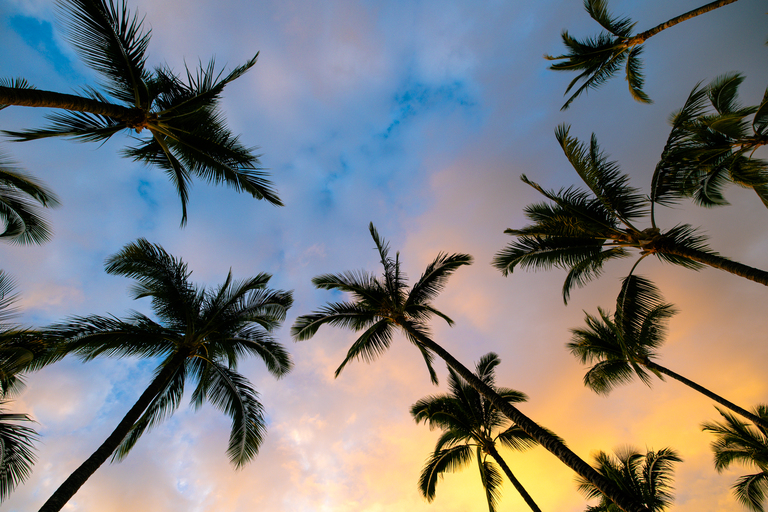 Hawai’i packing list: what to pack for the Island of Hawai’i
