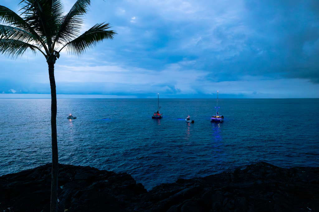 Night snorkel with manta rays in Hawai'i