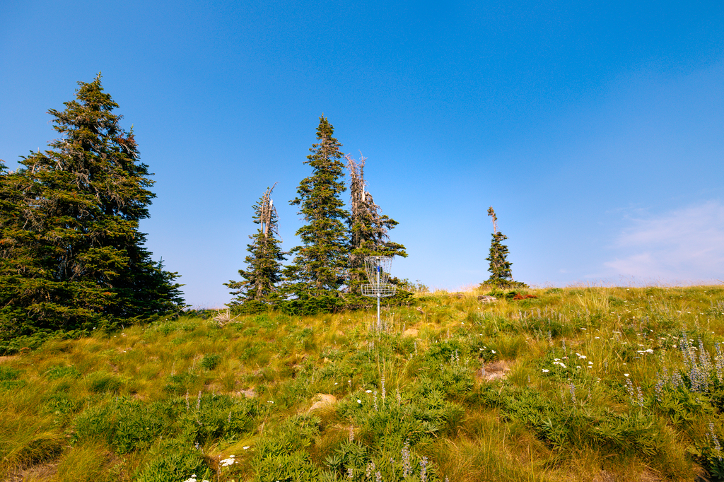 Disc golf during during summer at Schweitzer