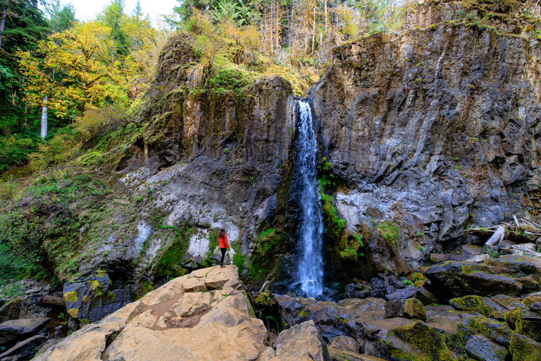 Drift Creek falls hike Lincoln City - the bes tthings to do in Lincoln City, Oregon