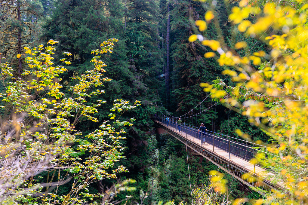 Hiking drift creek Falls Lincoln City oregon in fall, autumn colors on the oregon coast