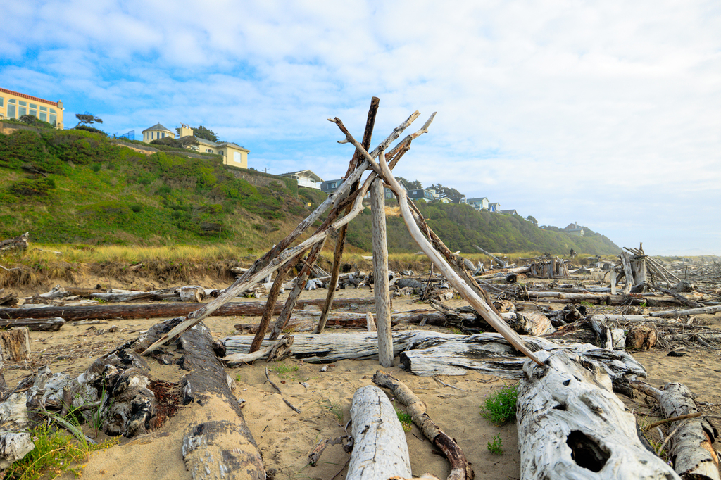 Lincoln city oregon coast beach driftwood