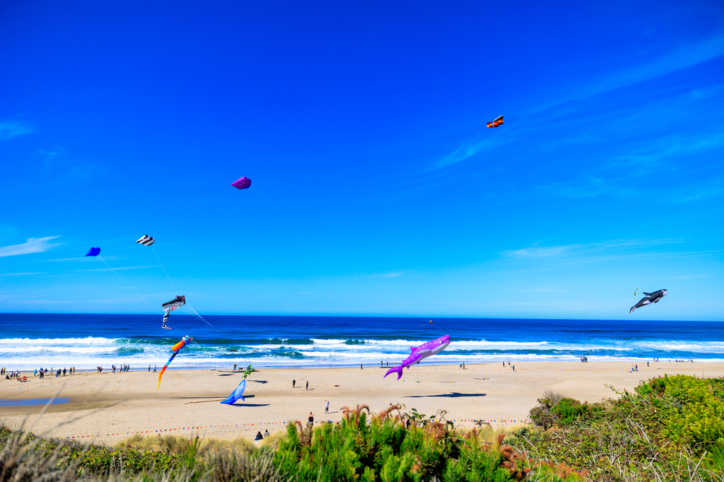 Lincoln City Kite Festival in fall