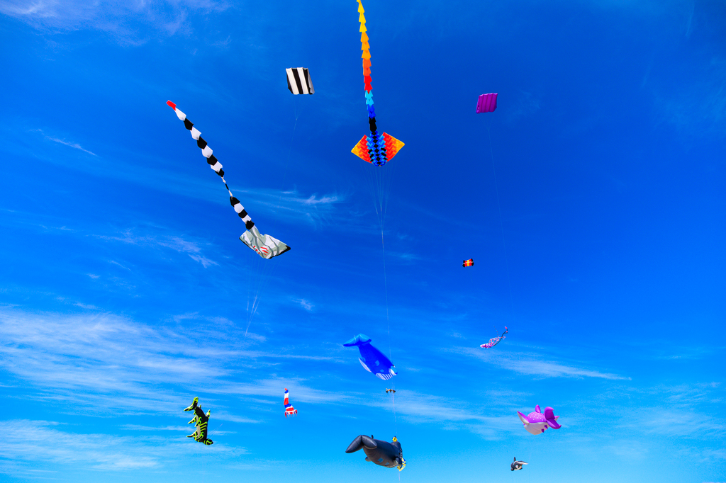 Lincoln City Kite festival
