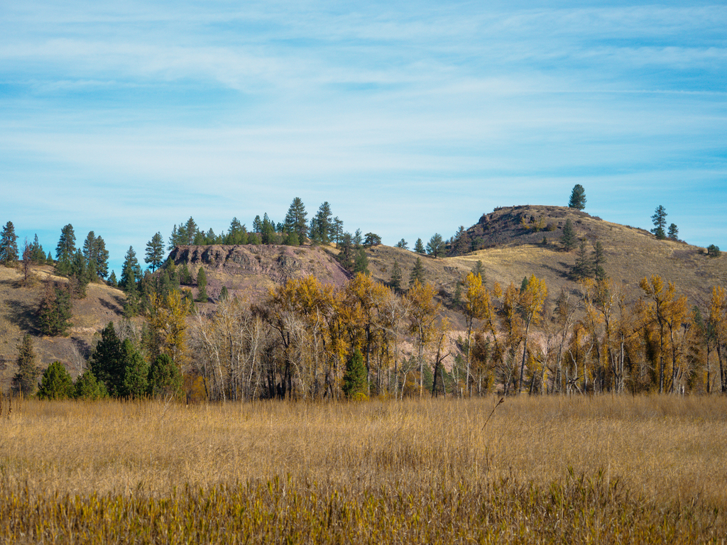 The McClay Flat Nature Trail is a 2 mile stroll that's perfect for birding in fall!